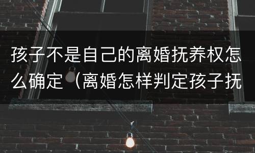 孩子不是自己的离婚抚养权怎么确定（离婚怎样判定孩子抚养权）