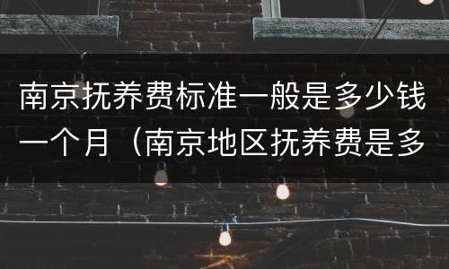 南京抚养费标准一般是多少钱一个月（南京地区抚养费是多少）