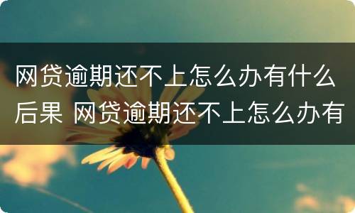 网贷逾期还不上怎么办有什么后果 网贷逾期还不上怎么办有什么后果分期乐