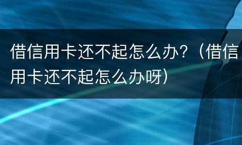 借信用卡还不起怎么办?（借信用卡还不起怎么办呀）