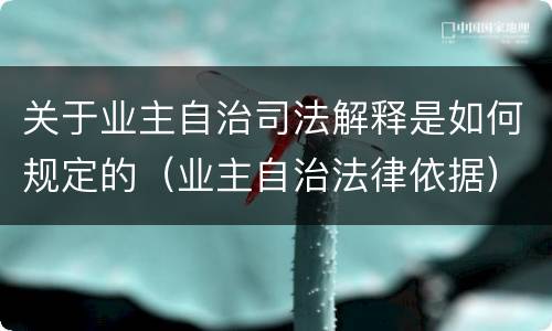 关于业主自治司法解释是如何规定的（业主自治法律依据）