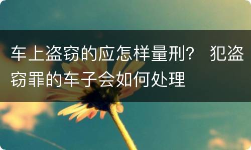 车上盗窃的应怎样量刑？ 犯盗窃罪的车子会如何处理