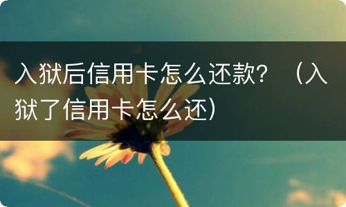 入狱后信用卡怎么还款？（入狱了信用卡怎么还）