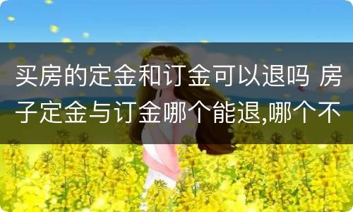 买房的定金和订金可以退吗 房子定金与订金哪个能退,哪个不能退?
