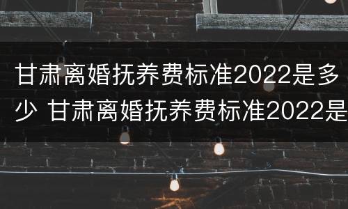 甘肃离婚抚养费标准2022是多少 甘肃离婚抚养费标准2022是多少钱