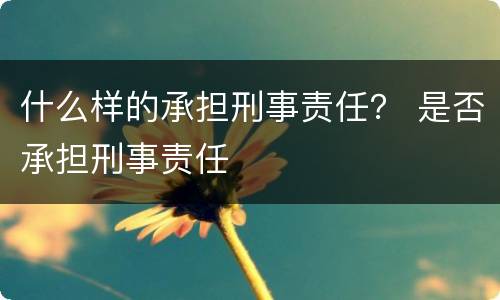 什么样的承担刑事责任？ 是否承担刑事责任