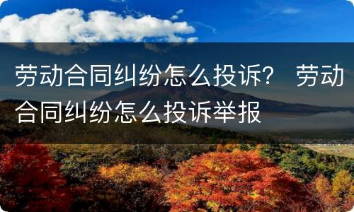 劳动合同纠纷怎么投诉？ 劳动合同纠纷怎么投诉举报