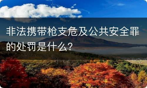 非法携带枪支危及公共安全罪的处罚是什么？