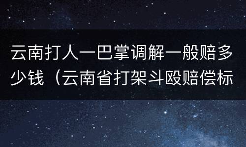 云南打人一巴掌调解一般赔多少钱（云南省打架斗殴赔偿标准）