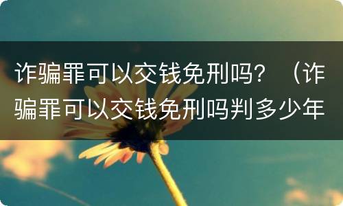 诈骗罪可以交钱免刑吗？（诈骗罪可以交钱免刑吗判多少年）