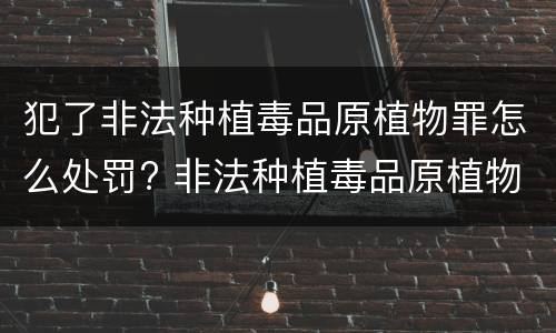 犯了非法种植毒品原植物罪怎么处罚? 非法种植毒品原植物的处罚