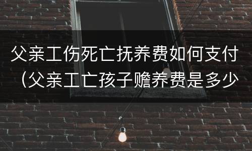 父亲工伤死亡抚养费如何支付（父亲工亡孩子赡养费是多少）