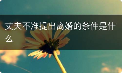 丈夫不准提出离婚的条件是什么