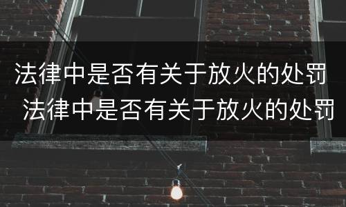 法律中是否有关于放火的处罚 法律中是否有关于放火的处罚规定