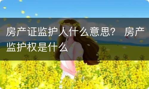 房产证监护人什么意思？ 房产监护权是什么