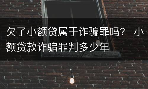 欠了小额贷属于诈骗罪吗？ 小额贷款诈骗罪判多少年