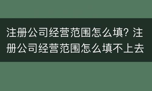 注册公司经营范围怎么填? 注册公司经营范围怎么填不上去