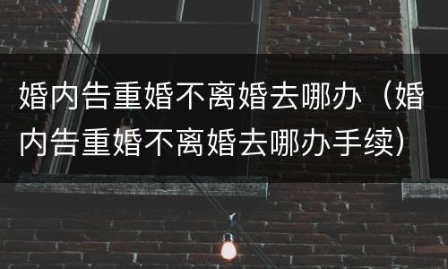 婚内告重婚不离婚去哪办（婚内告重婚不离婚去哪办手续）