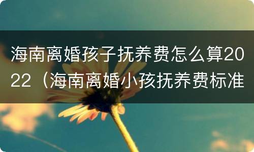 海南离婚孩子抚养费怎么算2022（海南离婚小孩抚养费标准2019）
