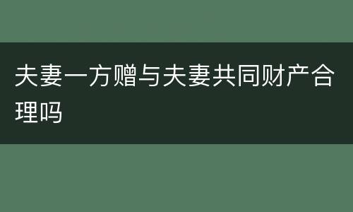 夫妻一方赠与夫妻共同财产合理吗