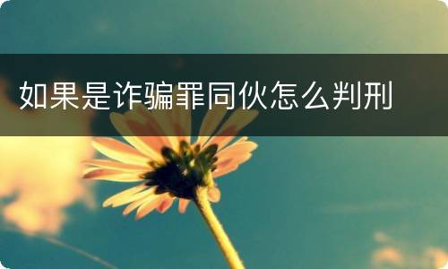 如果是诈骗罪同伙怎么判刑