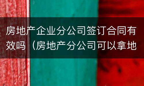 房地产企业分公司签订合同有效吗（房地产分公司可以拿地开发吗）
