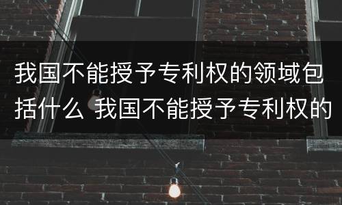 我国不能授予专利权的领域包括什么 我国不能授予专利权的领域包括什么内容