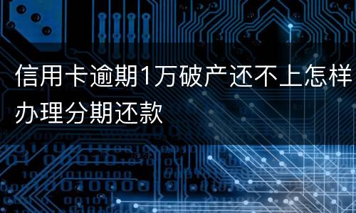 信用卡逾期1万破产还不上怎样办理分期还款