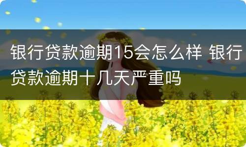 银行贷款逾期15会怎么样 银行贷款逾期十几天严重吗