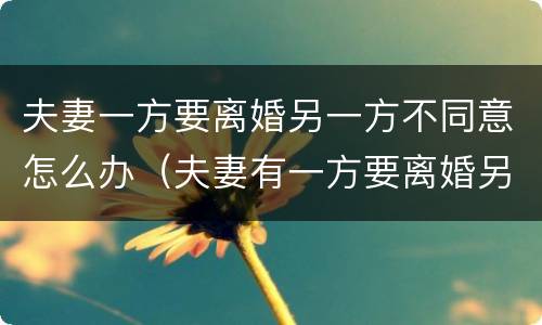 夫妻一方要离婚另一方不同意怎么办（夫妻有一方要离婚另一方不同意怎么办）