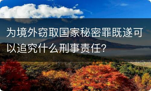 为境外窃取国家秘密罪既遂可以追究什么刑事责任？