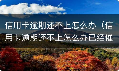 信用卡逾期还不上怎么办（信用卡逾期还不上怎么办已经催收了）