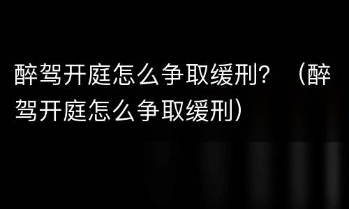 醉驾开庭怎么争取缓刑？（醉驾开庭怎么争取缓刑）
