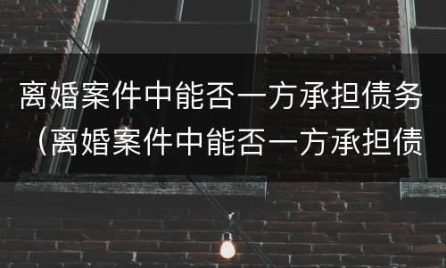 离婚案件中能否一方承担债务（离婚案件中能否一方承担债务和债务）
