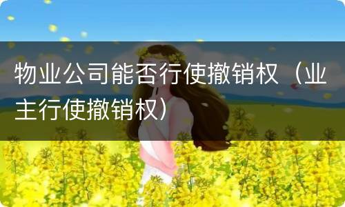 物业公司能否行使撤销权（业主行使撤销权）