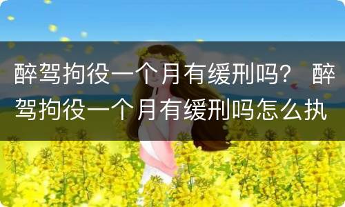 醉驾拘役一个月有缓刑吗？ 醉驾拘役一个月有缓刑吗怎么执行