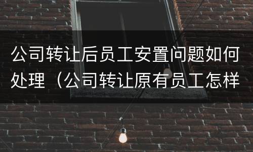 公司转让后员工安置问题如何处理（公司转让原有员工怎样安置）