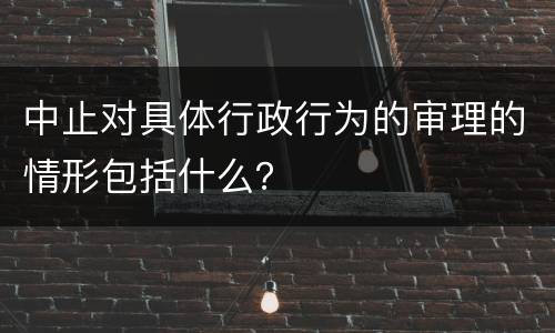 中止对具体行政行为的审理的情形包括什么？