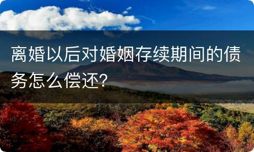 离婚以后对婚姻存续期间的债务怎么偿还？