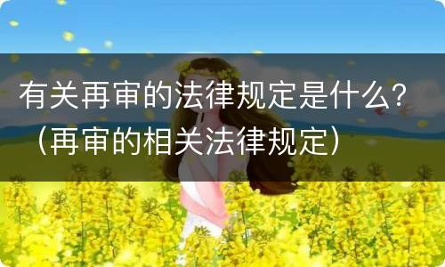 有关再审的法律规定是什么？（再审的相关法律规定）