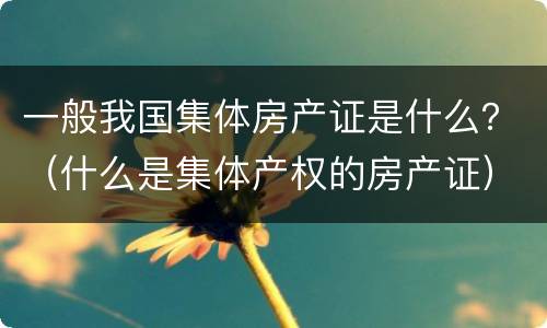 一般我国集体房产证是什么？（什么是集体产权的房产证）