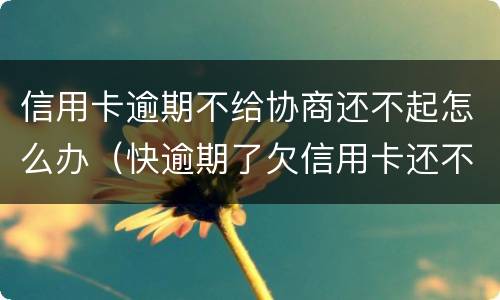 信用卡逾期不给协商还不起怎么办（快逾期了欠信用卡还不起跟银行能有协商的可能性吗）
