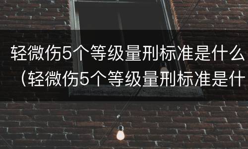 轻微伤5个等级量刑标准是什么（轻微伤5个等级量刑标准是什么意思）