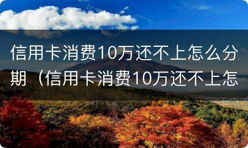 信用卡消费10万还不上怎么分期（信用卡消费10万还不上怎么分期呢）