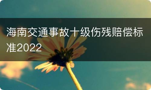 海南交通事故十级伤残赔偿标准2022