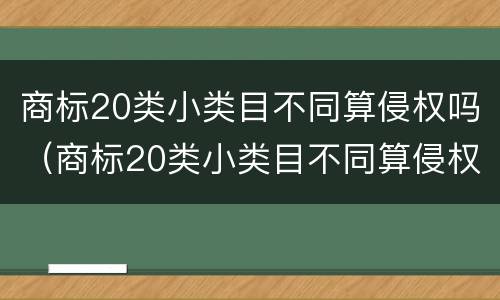 商标20类小类目不同算侵权吗（商标20类小类目不同算侵权吗知乎）