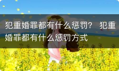 犯重婚罪都有什么惩罚？ 犯重婚罪都有什么惩罚方式