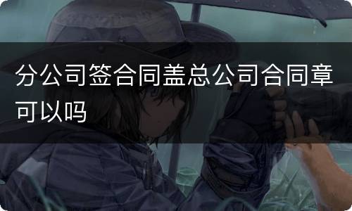 分公司签合同盖总公司合同章可以吗