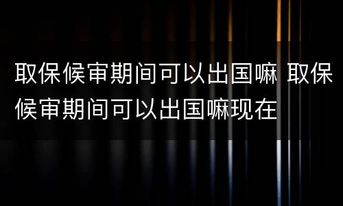 取保候审期间可以出国嘛 取保候审期间可以出国嘛现在