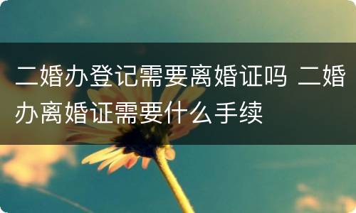 二婚办登记需要离婚证吗 二婚办离婚证需要什么手续